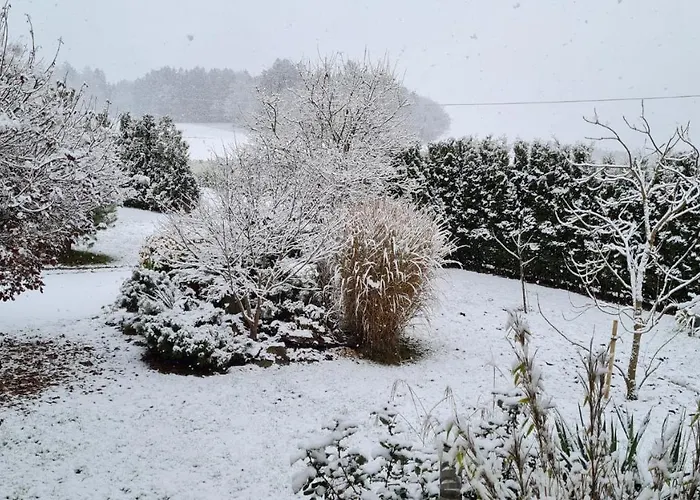 Ferienhaus Ruhe Oase Im Bayerischen Wald