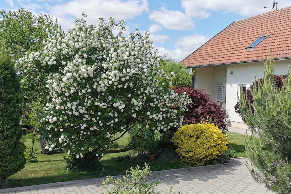 Ruhe Oase Im Bayerischen Wald * Traitsching